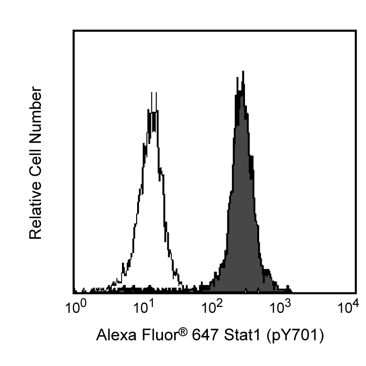 S38316_612597_image1_rev.png